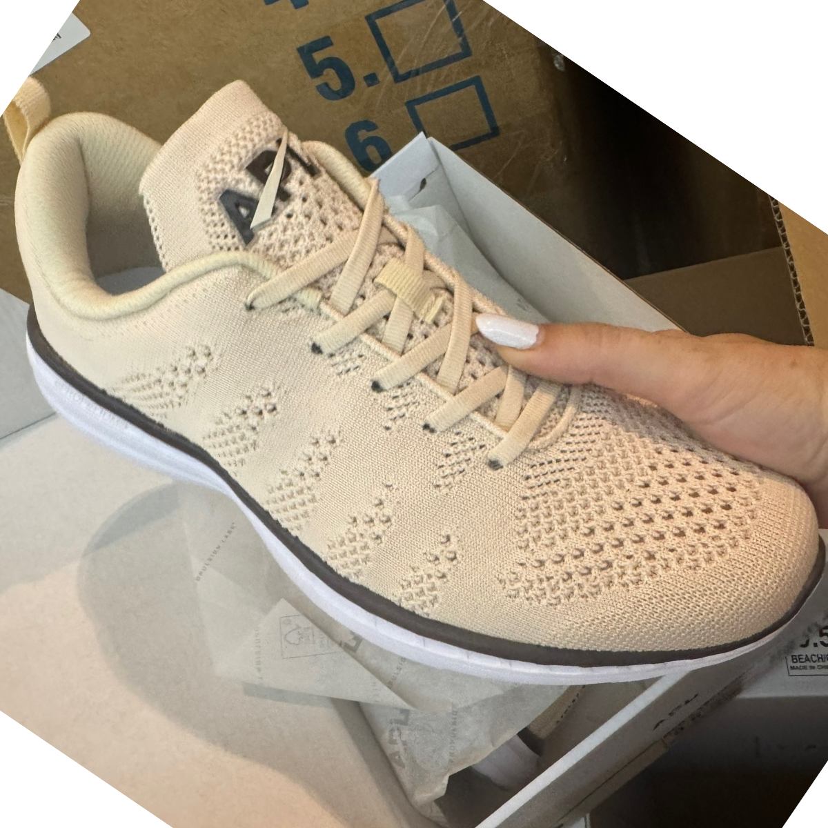 Everlane & APL — New in Box Footwear (4-Pair Pack) - NuSource