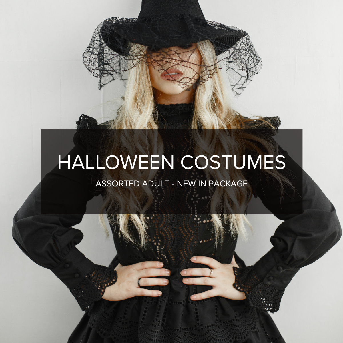 Halloween Costumes — NWT Adult Assorted Lot (Men’s & Women’s) - NuSource