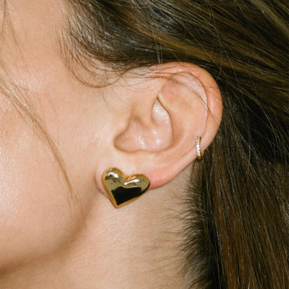 Rumored Assorted NWT Earrings